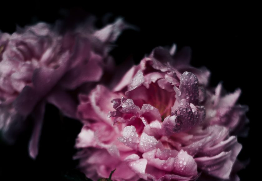 Loki Creative No.5 – Spring Playlist