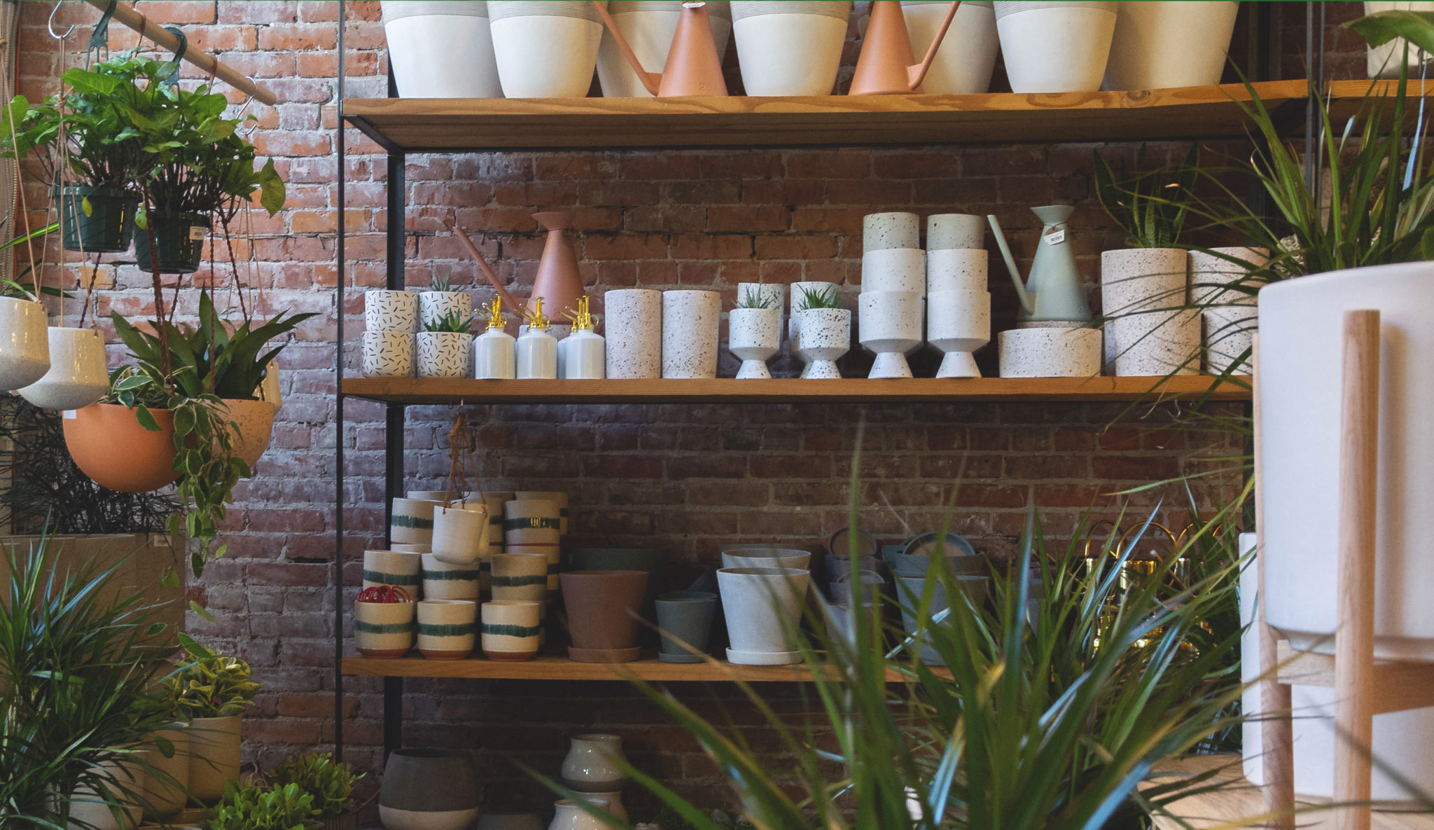 Shelves with plant pots and brick wall